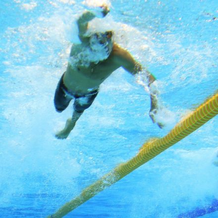 Swimming Australia announces exciting new appointments for Para coaches