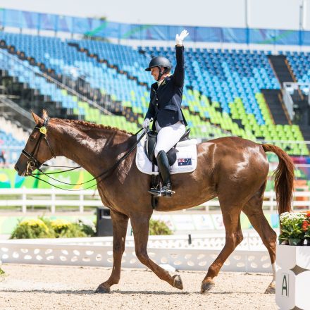 Para-dressage champions crowned in Sydney
