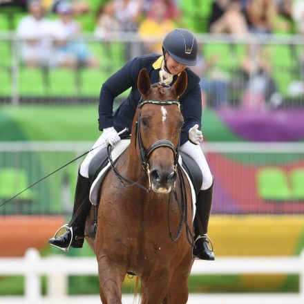 Para-dressage competitors shine on day two