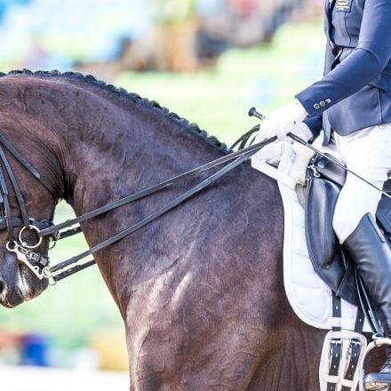 Para-equestrian classifier receives FEI nomination for International Women's Day awards