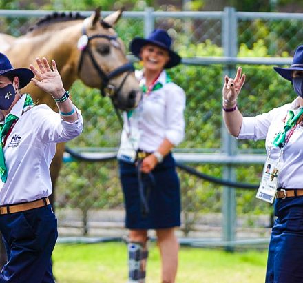Equestrians breeze through trot up and are ready for competition