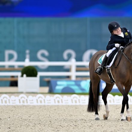 Sleek And Profound, Australian Equestrians Riding High 