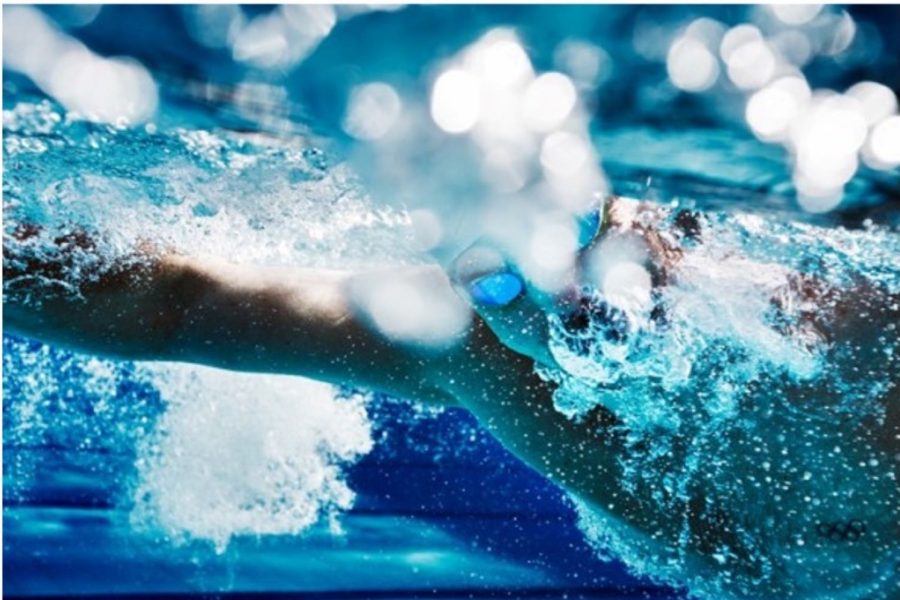 Underwater shot of a swimmer doing laps