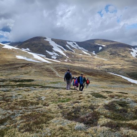 ‘Murderball’ Pioneer Prepares To Scale Mt Kozi 